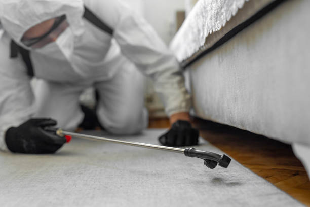 Professional Termite Control technician working in Barnesville, MN