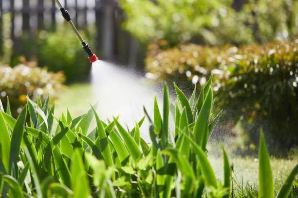 24/7 Emergency Termite Control experts in Barnesville, MN